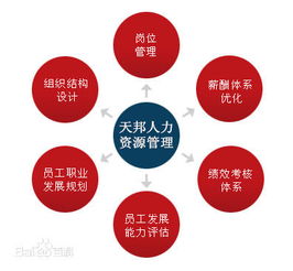 鄭州社保公積金代理、勞務(wù)派遣與人事外包服務(wù)全解析